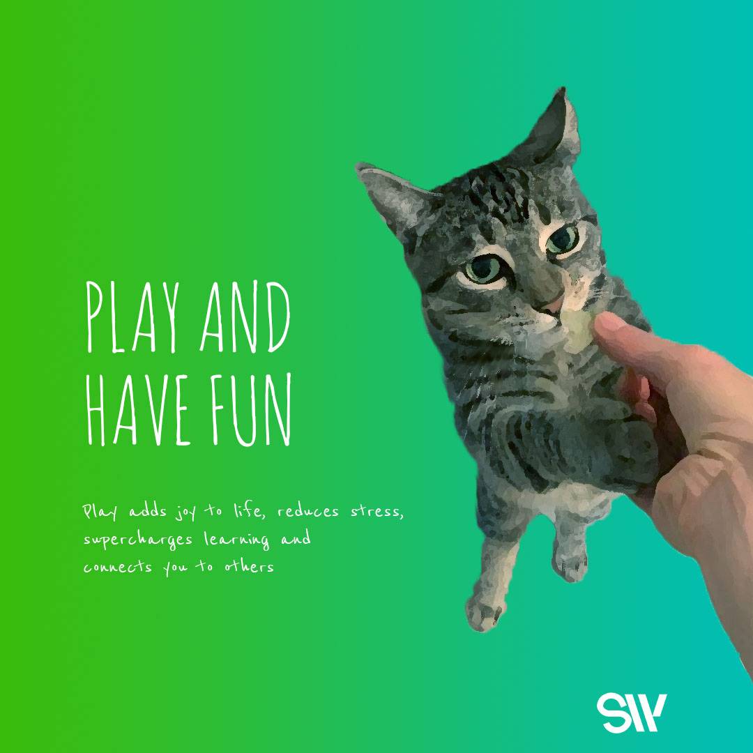 Play and have fun