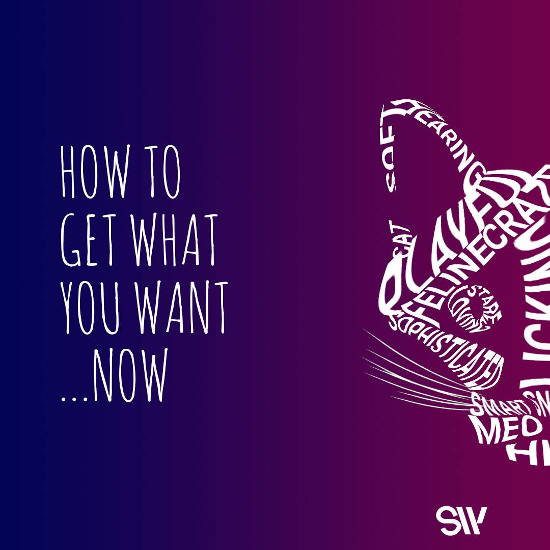 How to get what you want...now!